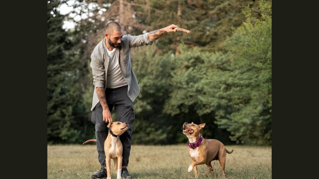 Week 1: Start the Dog Obedience Challenge