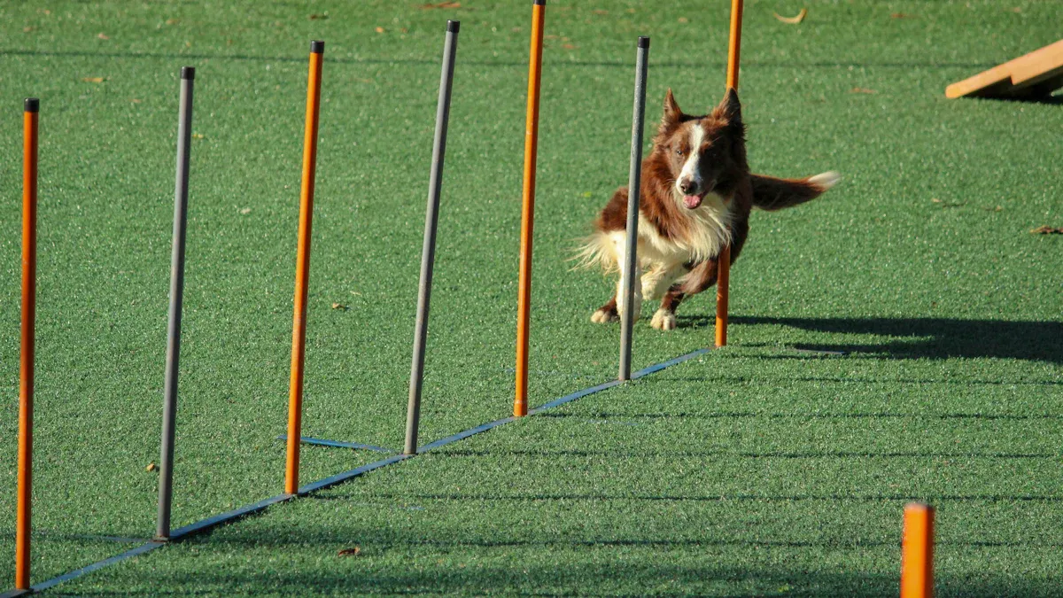 The Complete Dog Training Guide: From Basic Obedience to Perfect Behavior