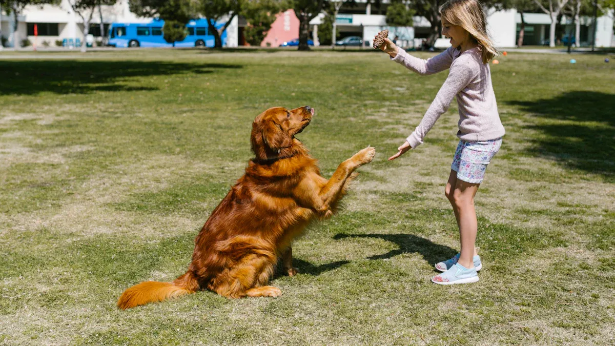 3-Week Dog Obedience Challenge: Train Your Dog Like a Pro