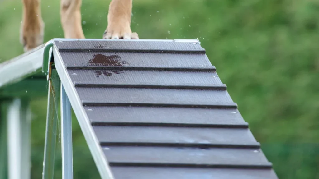 Week 2: Advance Training Skills