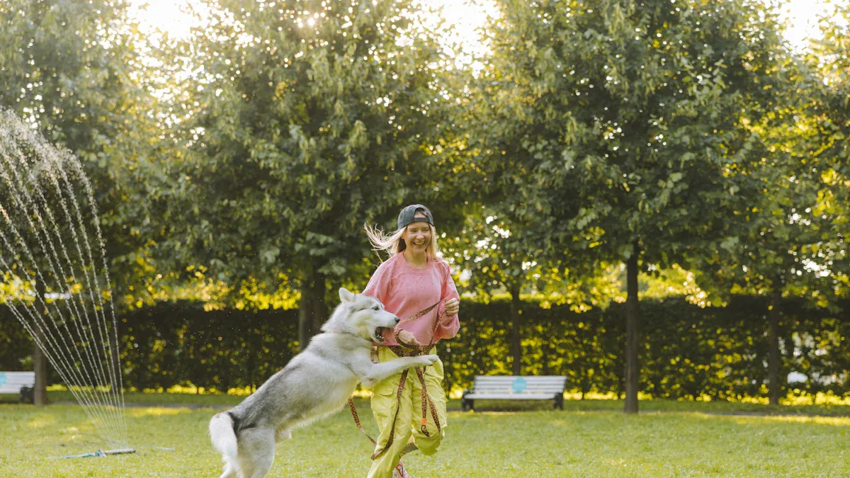 5 Key Exercises to Include in Your Dog Training Routine