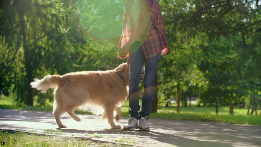 Heel Walks for Focus