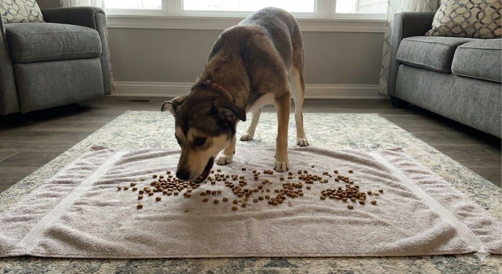 The "Flat Scatter" (Beginner Level)