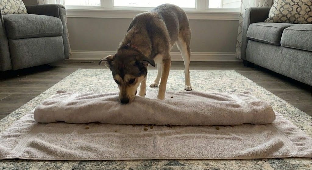 The "Loose Roll" (Intermediate Level)