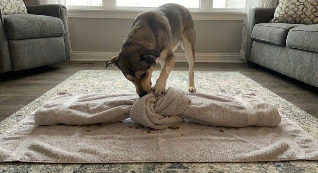 The "Pretzel" Knot (Advanced Level)