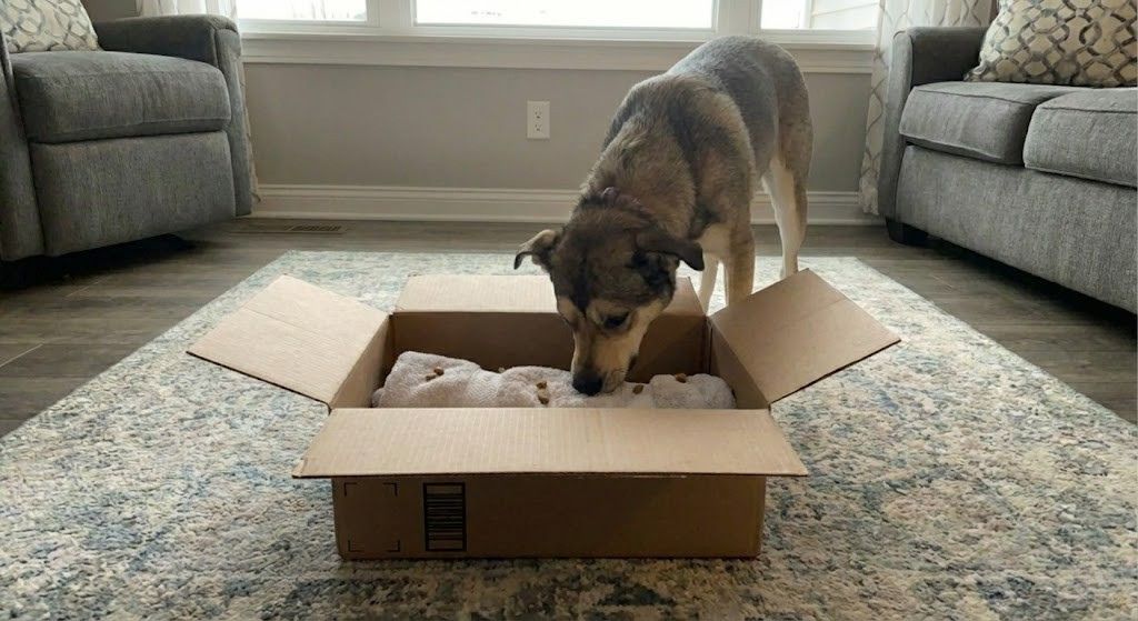 The "Russian Nesting Doll" (Genius Level)