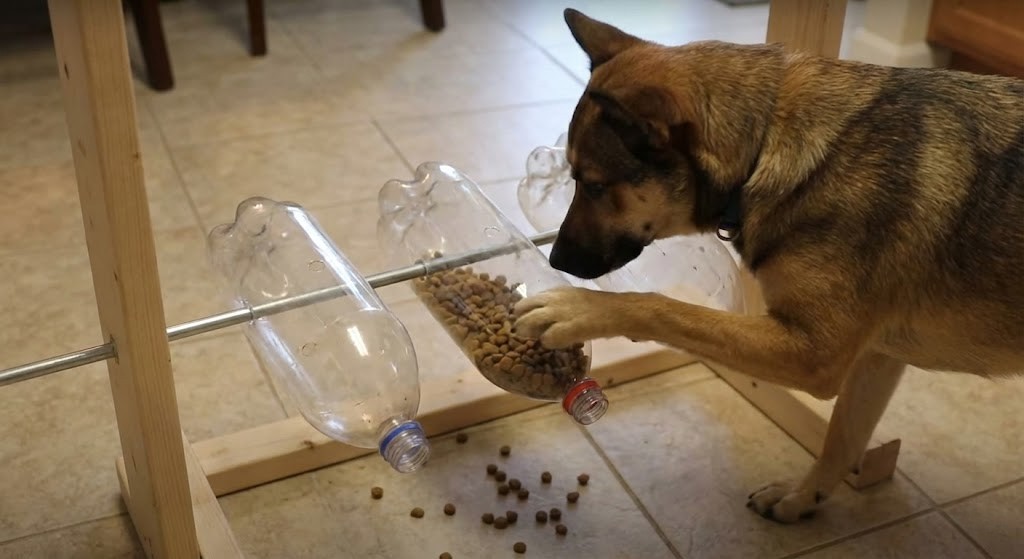 The Spinning Bottle Feeder