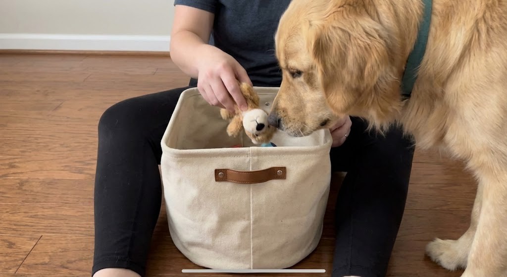 The Step-by-Step Protocol